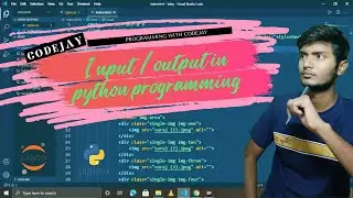 4. Input output in python  | how to take input and give output | python programming in hindi