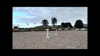 Max True Gent  Superstar Eventer,✨ Showjumper prospect ✨Gelding