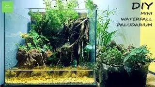 DIY Mini Waterfall Paludarium | 2 Step Waterfall system | Terrascaping