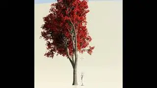 3D Maple Tree made with Geometry Nodes