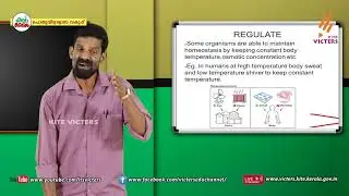 KITE VICTERS Plus Two Botany Class 36 (First Bell-ഫസ്റ്റ് ബെല്‍)