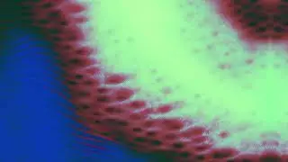 Patrick Holland - Channel 83 (Official Visualizer)