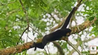 Vietnam’s Untamed Heart: An Exclusive Expedition with Katien Safari