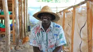 Black Soldier Fly Farming, the secret to Valeria Mixed Farm's incredible Success! #bsfl #motivation