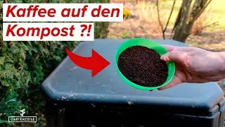 Darum solltest du Kaffeesatz auf deinen Kompost werfen! ABER: Vermeide diesen Fehler!