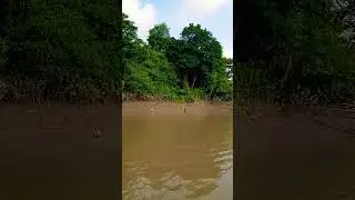 Natural view. #nature #khulna #beautiful #weather #river #boat #bd #moderationTv