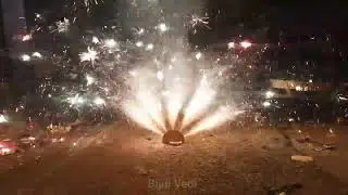 Bada Peacock Feather 5 in 1 Bursting Video|Super Fancy Peacock|Srigurulakshmifireworks|Bijili vedi|