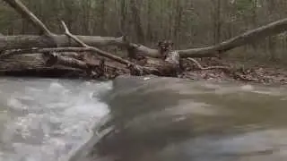 Rocky Springs Mississippi