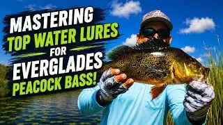 Peacock Bass Fishing with Topwater Lures: Explosive Strikes and Tips!