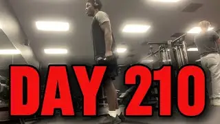 Путь в UFC - День 210