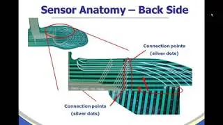 Foot Mapping Sensors Webinar