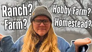 What is the Difference Between a Homestead? Hobby Farm? Ranch? Farm?