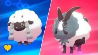 Evolving Wooloo