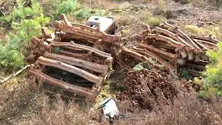 Sielmanns Naturlandschaft Tangersdorfer Heide - Naturschutzmaßnahmen für die Artenvielfalt