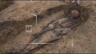 Fifty 'exceptionally well-preserved' skeletons unearthed at Danish Viking burial ground