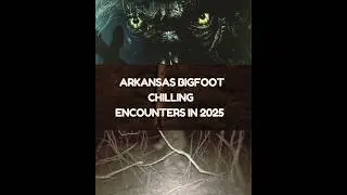 Arkansas Bigfoot  Chilling Encounters in 2025