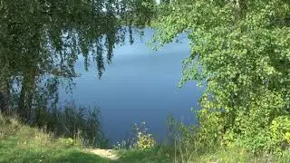 Dmitry Stepanovich, poems by Olga Mochalova GAIA Choral cycle Voci di ricci