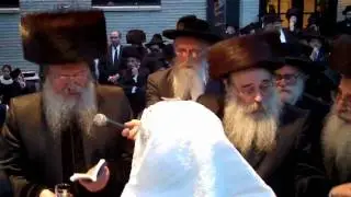 Tolshov Violipol Wedding Part 3