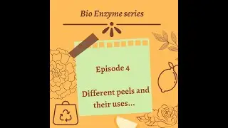 Bio Enzyme Series episode 4| Different types of green waste used in making| What peels can be used?