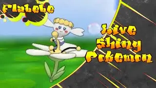 [Live] Shiny Flabebe at 41 Radar Chain Encounter | Pokemon Y