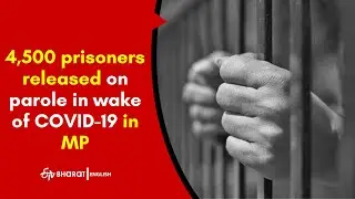 Madhya Pradesh: 4,500 prisoners released on parole in wake of COVID-19 | ETV Bharat
