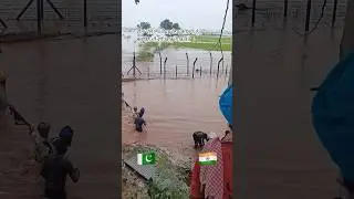 Lahore 💔#wmk #flood #farmerstruggle #farmlife #farmer #flooding