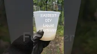 Easiest natural DIY liquid fertilizer ever! #liquidfertilizer #liquidfertilizerforplants #gardening