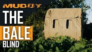 The Bale Blind