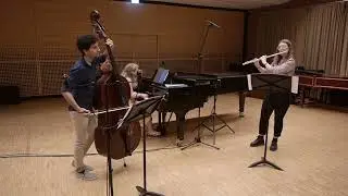 DEBUSSY Prélude à l'Aprés-midi d'un faune | for flute, double bass and piano LIVE 2022
