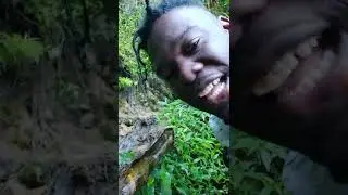 Blue Mountain spring water in jamaica