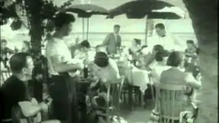 1954 