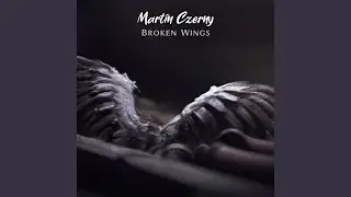 Broken Wings