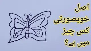 Titli ki nafasat ki motivational story | kids moral story | Draw some dreams