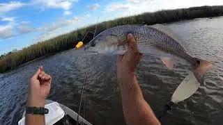 Gulp Jerkbaits Oyster Bars and Tons of Redfish| Fishyourassoff.com