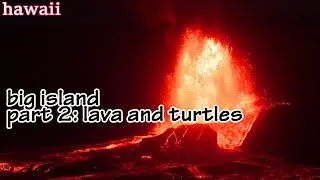 Exploring Hawaii Volcanoes National Park and Swimming with Sea Turtles at a Black Sand Beach!