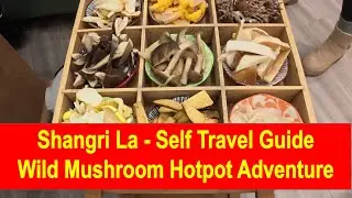 Wild Mushroom Hotpot Adventure in Shangri-La | Must-Try Yunnan Cuisine!
