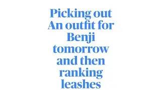 Picking an outfit for Benji tomorrow and then ranking leashes