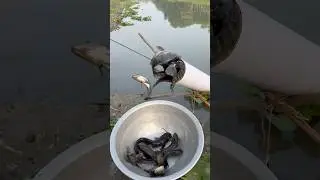 Unique Fishing in River #fishing #shorts