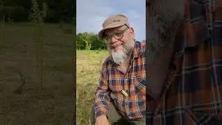Среда обитания диких животных будет уничтожена