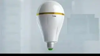 Royal Group Of Industries