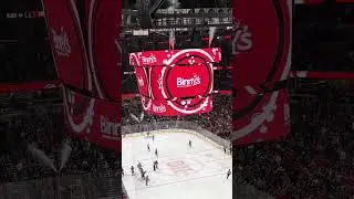 Conner bedard goal