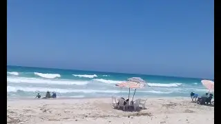 زيارة لشاطئ الصفا الشاطئ الهادى المميز فى شواطئ بحر الإسكندرية