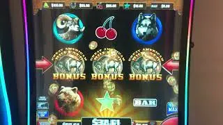 Buffalo Bonus!!
