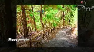 Samaria Gorge, Crete Guide   What to do, When to visit, How to reach, Cost | Tripspell
