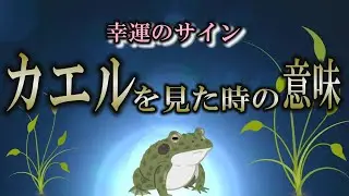 【サイン】カエルに隠された秘密とは？｜カエルをどこで見ましたか？【spiritual】