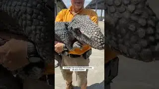 Realistic Pet Raptor