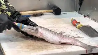 Fish market at Canada
