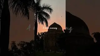 Evenings at Lodhi Garden 🪴 #evening #delhi #shorts #shortsvideo
