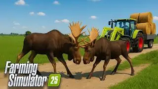 Эти МОДЫ УЛУЧШАТ ваших ЖИВОТНЫХ на 10 уровней в Farming Simulator 25!