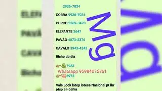 Palpite do Mago para dia 10/06/2019